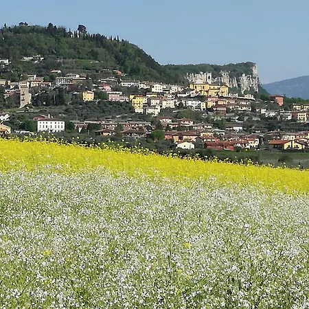 Susanna 4* Кавайон-Веронезе